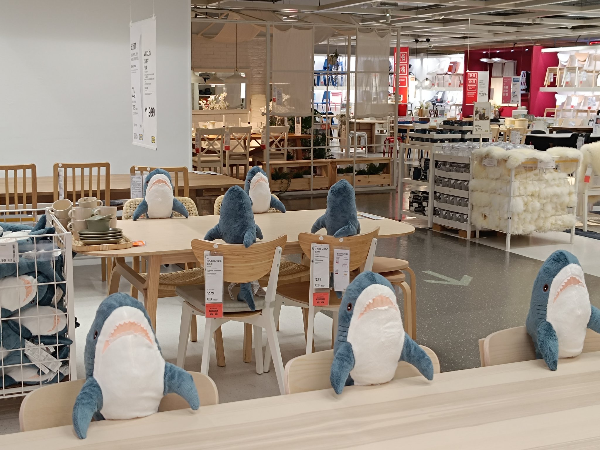 home-banner-background